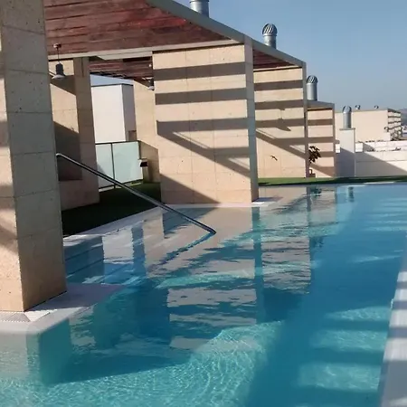 Gatu Atico Divino 